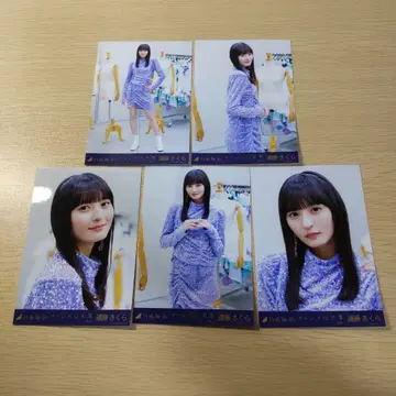 엔도 사쿠라 사진 5장 세트 사카미치 시리즈