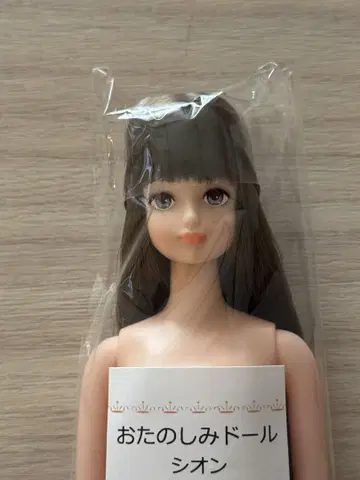 즐거운 인형 시온