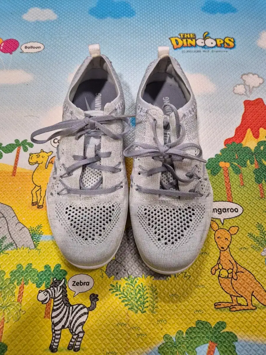 Women's Nike Sneakers (230)