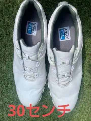 풋조이 30cm 골프화 FJ 골프