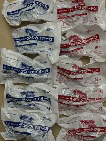 포켓몬 겐시그라돈 겐시카이오가 10개 세트 카이요도