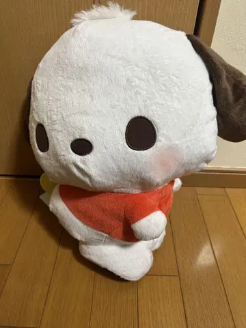 포차코 봉제 인형
