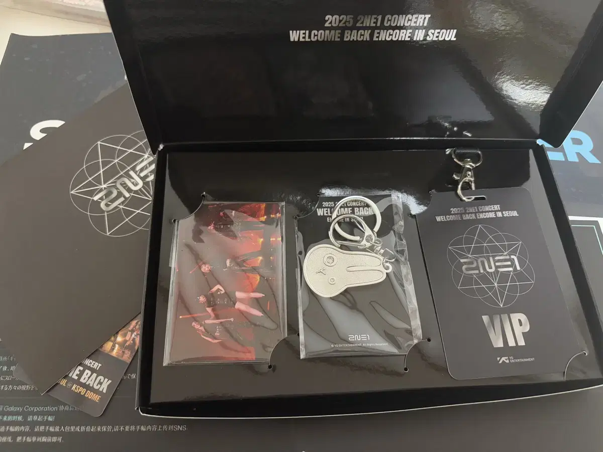 2NE1 콘서트 VIP 특전