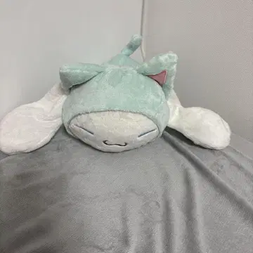 시나몬 롤 나카요시 고양이 빅 사이즈
