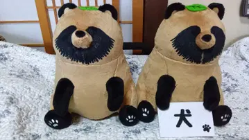 비와 너 BIG 봉제 인형 너구리 2개 세트
