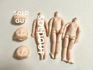 이동식 인형 바디 및 헤드 19cm 세트