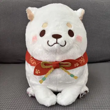 충견 모치시바 10주년 고져스 BIG 봉제 인형