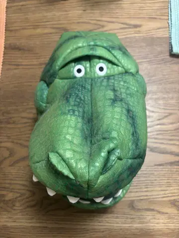 디즈니 팬 캡 렉스