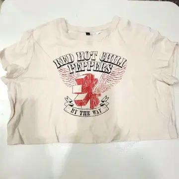 H&M DIVIDED 크롭 티셔츠 렛치리 XL