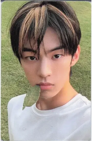 TWS NOW Ver. 도훈 여름 비트! 우리의 추억: 지금