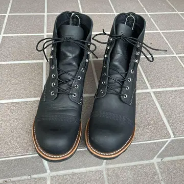 레드윙 아이언레인저