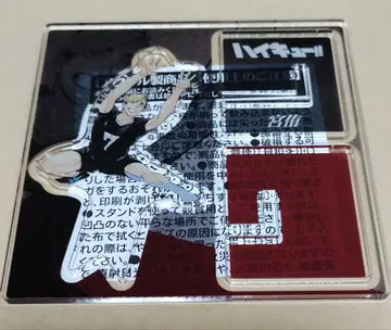 하이큐 크로스 피규어 미야 아츠무 미야 오사무