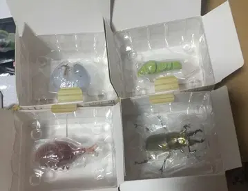 제일복권 곤충 세계의 곤충 대집합! E상 데스크탑 피규어 4종