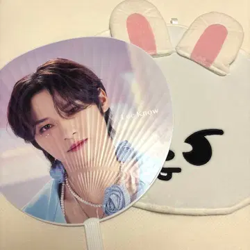 Stray Kids 스키즈 리노 Lee 비트 부채 케이스 부채 5star