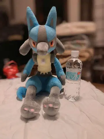 포켓몬 루카리오 M 택 포함 봉제 인형 약 45cm