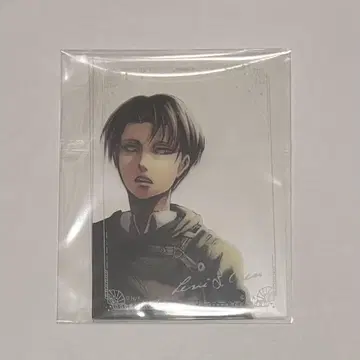 진격의 거인 Anique 애니크 코데카 리바이