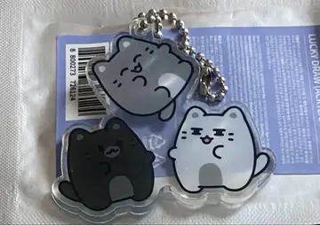 MINITEEN 미니틴 seventeen 세부치 준