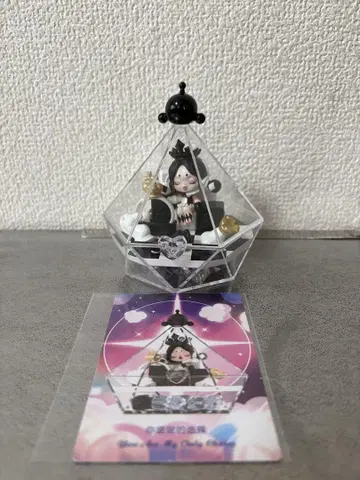 위싱 링 박스 SKULLPANDA