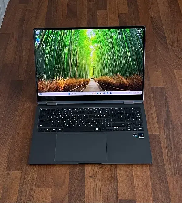삼성 갤럭시북3 프로360 i7 32GB 1TB 노트북