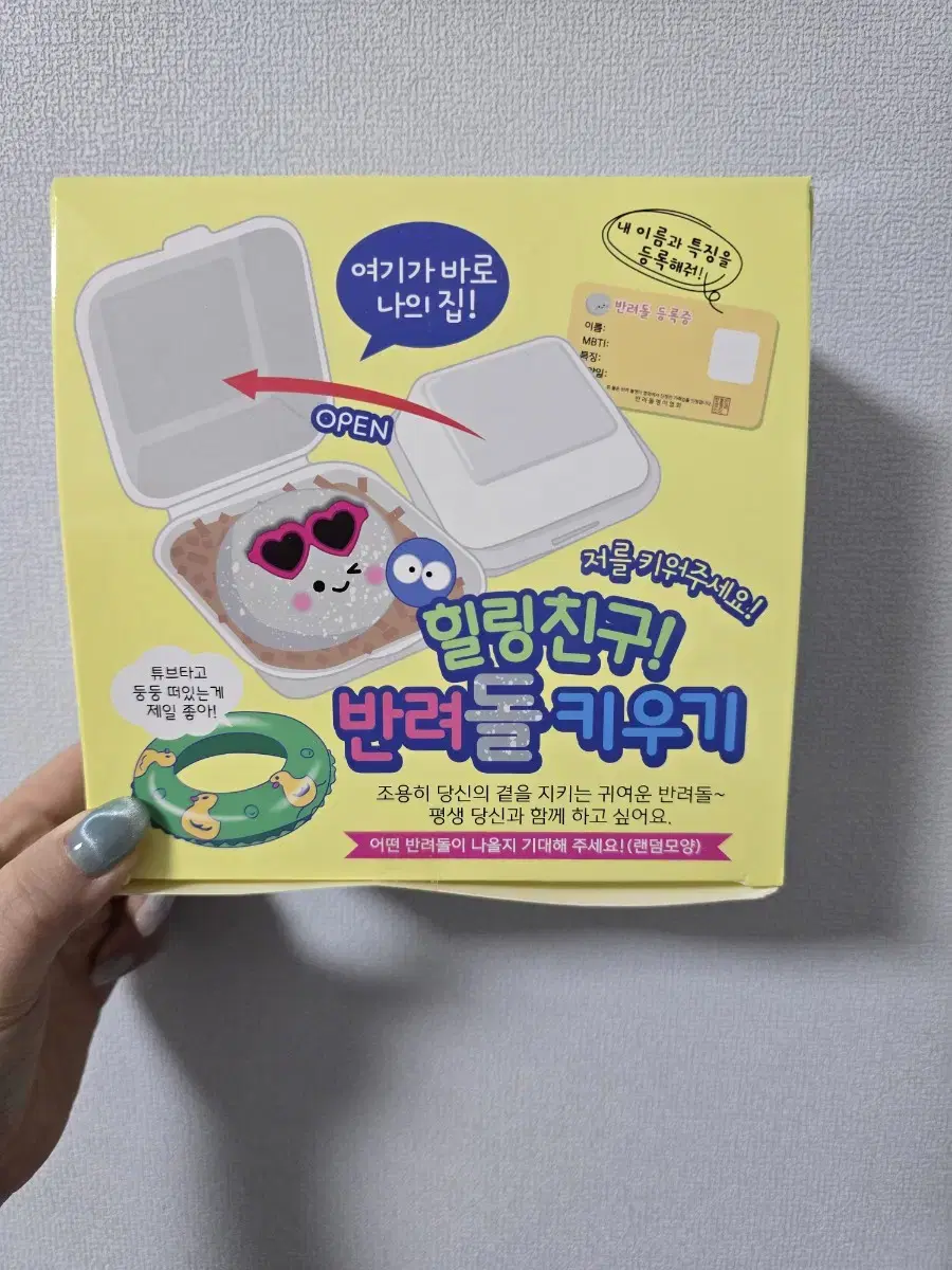 반려 돌 키우기