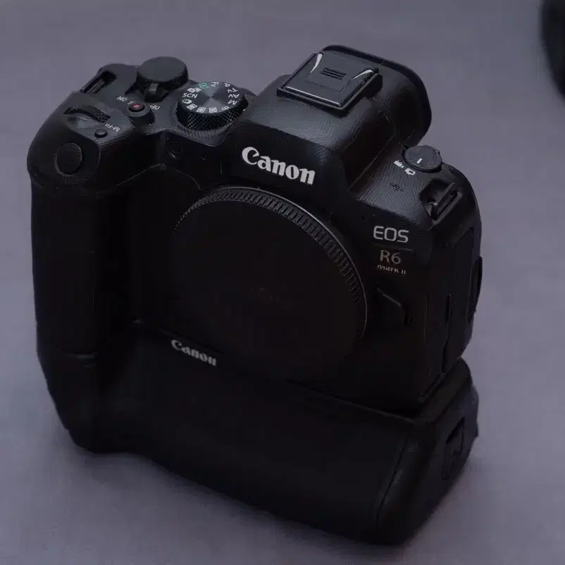 CANON | 캐논 Canon EOS R6 mark2 + BG-R10 on Bunjang Global Site.