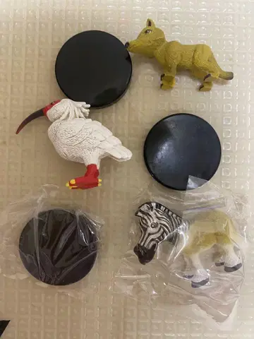 싸워라! 멸종 동물 일본 늑대, 토키, 콰가, 천연 기념물 미야가와 아쥬