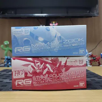 RG 스트라이크 루즈 + RG MSM-07 즈고크 프리미엄 반다이 한정판