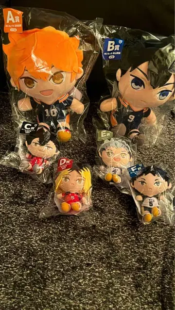 후류 복권 '하이큐!!' 누이모치 ABCDEF 상 세트