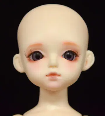 로젠 리드 화요일의 아이 기본 클로버 일반 피부