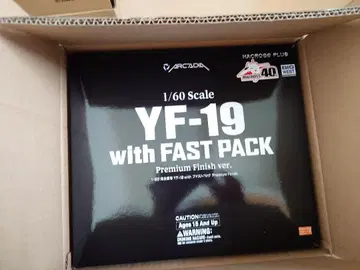 아르카디아 yf-19
