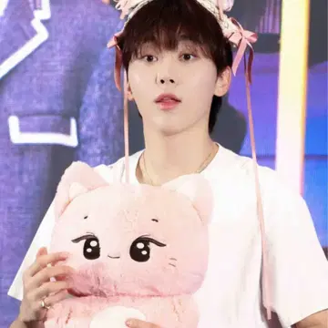 세븐틴 승관 부승관 40cm인형 양도 | 브랜드 중고거래 플랫폼, 번개장터