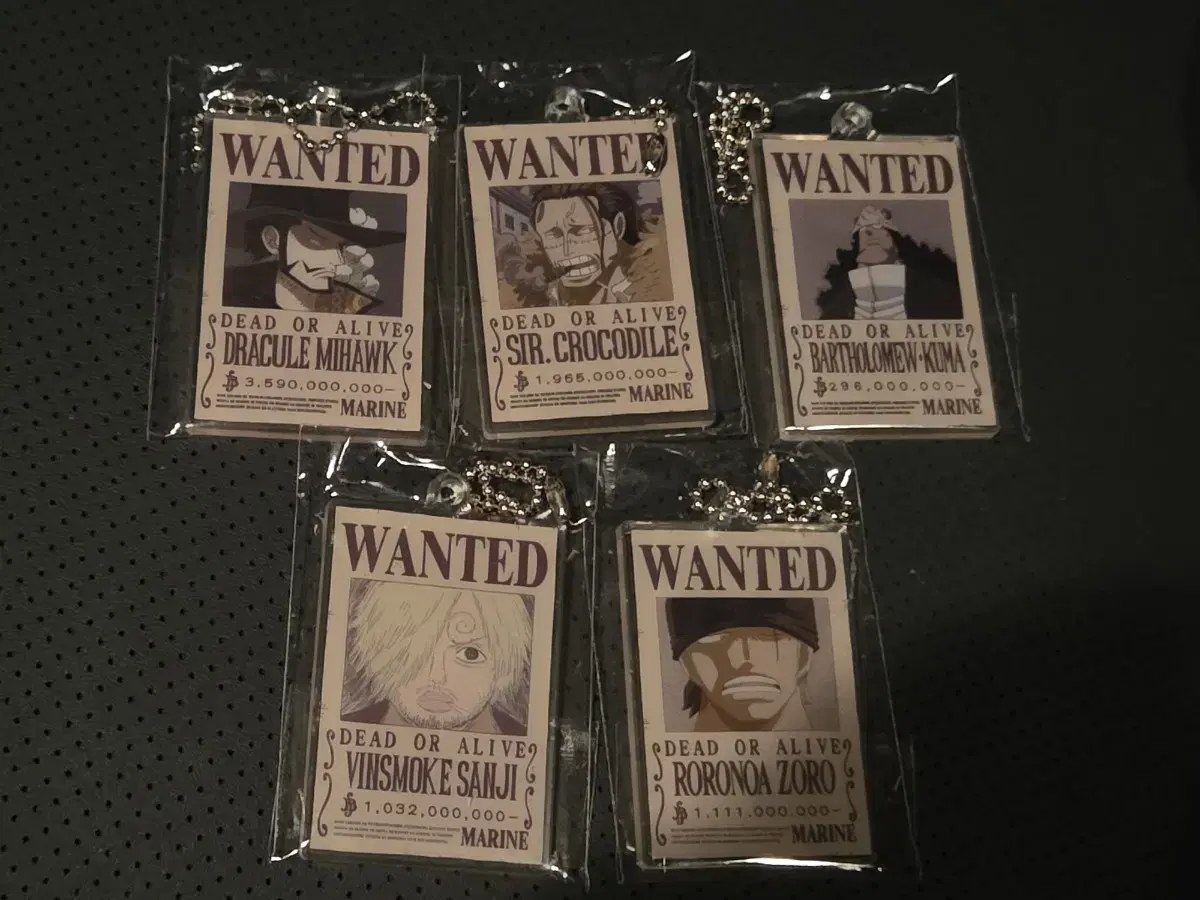 Onepiece Wanted Poster Magnet (bulk)