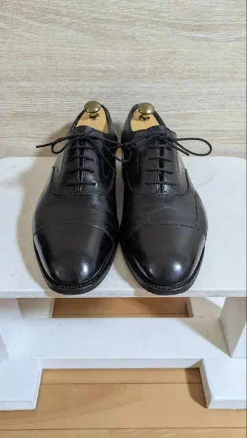 에드워드 그린 첼시 라스트 202