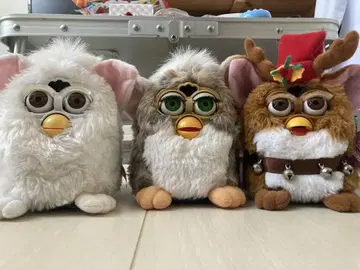 퍼비