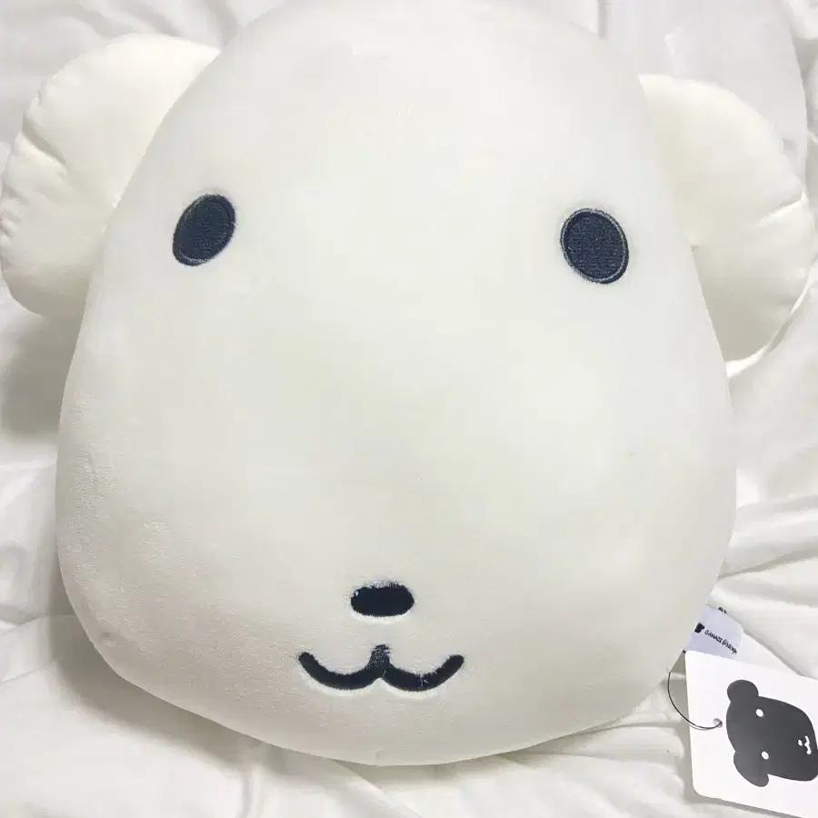 Dugi（푼푼더기❤️）　0311 썬스포츠B2C