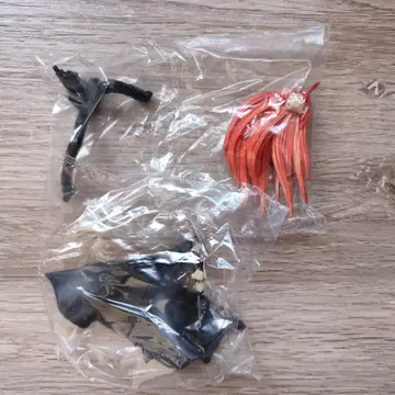 의 샤나 피규어 불꽃 머리카락과 불타는 눈의 토치테 버전