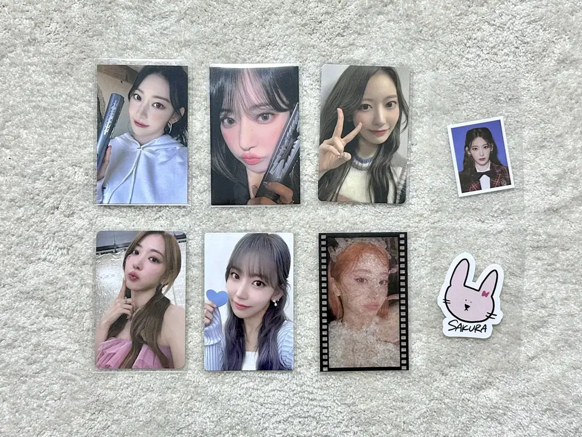 르세라핌 사쿠라 포카 피어나다 콘서트