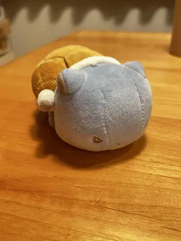 포켓몬 센터 마지팡 거북왕(카멕스) 봉제 인형