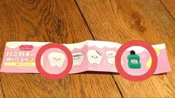 니코리노 칫솔 봉제 인형 3종 2종 세트