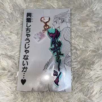 헌터헌터 히소카 키링
