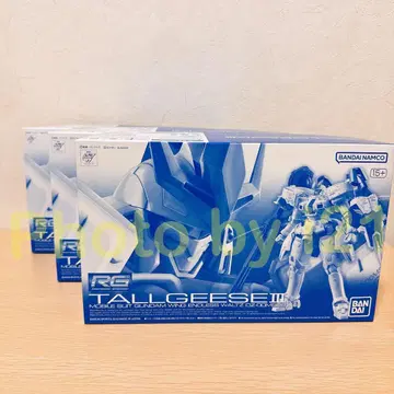 RG 1/144 톨기스 III 3개