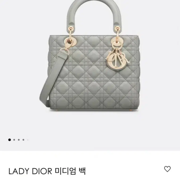 디올 레이디백 (스톤그레이, 미디움) 사진 2