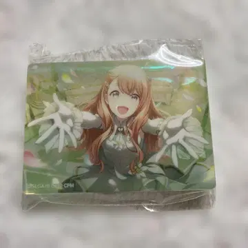 프로세카 노블 아트 컬렉션 하나리 미노리