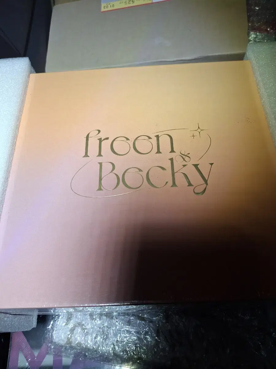 [General Edition] SPOTLiGHT photobook Freen Becky