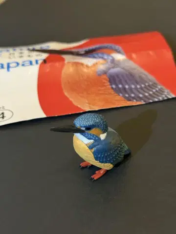 네이처 테크니컬러 일본 생물 카와세미 도서 재판매