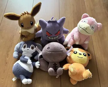 이브이, 겐가, 야돈, 예산, 누오, 히메구마, 포켓몬 봉제 인형