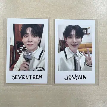 SEVENTEEN 세부치 holiday 인스턴트 사진 조슈아