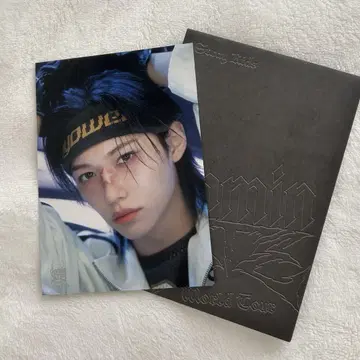 straykids dominATE 시즈오카 필릭스 랜트레