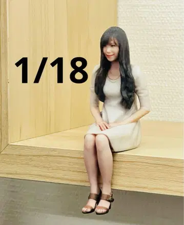1/18 완성품 피규어 인형의 집에 미니카에 1/64보다 큽니다.