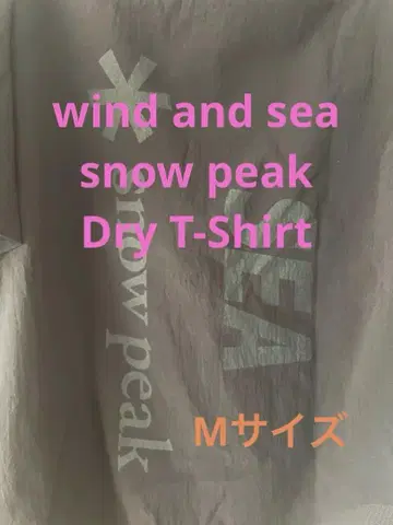 wind and sea snow peak 사이즈 M Dry T-Shirt